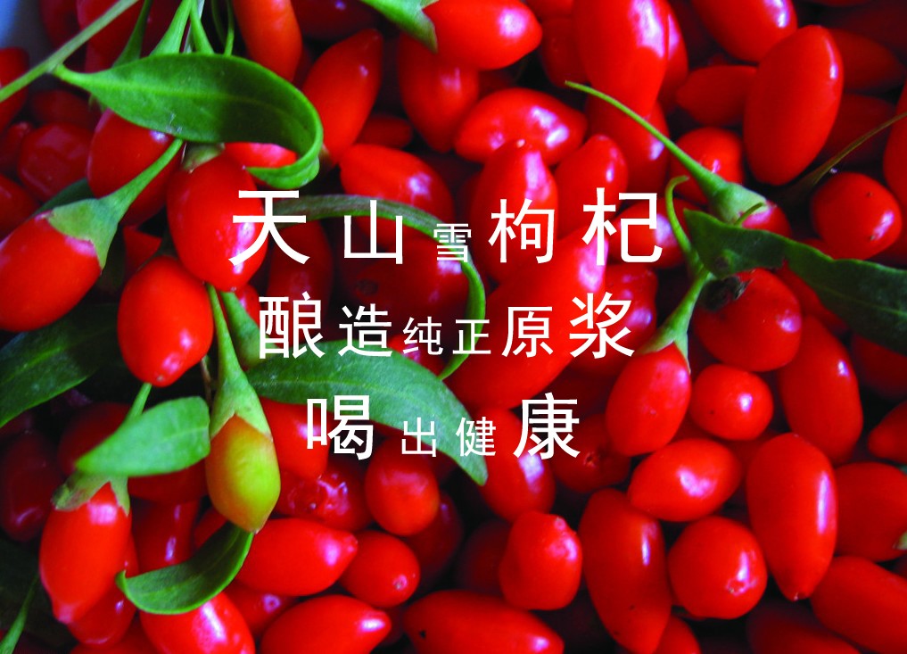 &#20061;&#28216;&#23089;&#20048;&#40;&#78;&#105;&#110;&#101;&#71;&#97;&#109;&#101;&#83;&#112;&#111;&#114;&#116;&#115;&#41;&#23448;&#26041;&#32593;&#31449;&#45;&#20061;&#28216;&#24341;&#39046;&#23089;&#20048;&#28526;&#27969;